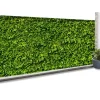 Brise vue imitation feuillage 2 x 10 m