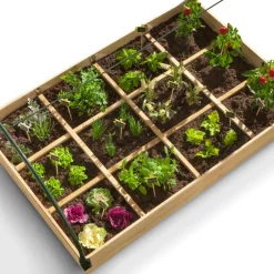 Carré potager avec serre