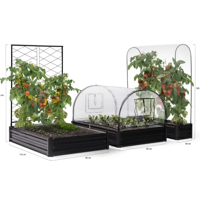 Carré potager en métal avec serre à tomates + treillis + housse