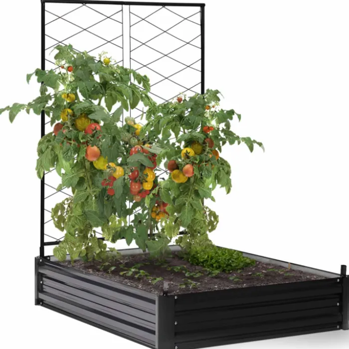 Carré potager en métal avec serre à tomates + treillis + housse
