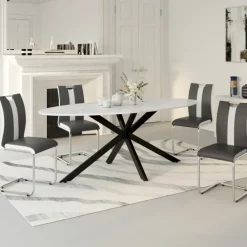 Chaises pieds métal chromé blanches et grises