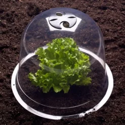 Cloches pour plants de salade X12