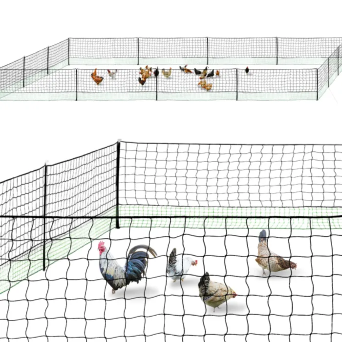Filet à poules de 50m avec porte