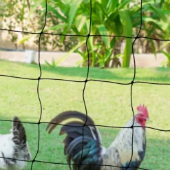 Filet à poules de 50m avec porte
