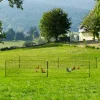 Filet pour poulailler 12 m