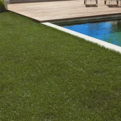 Gazon synthétique 40 mm d'épaisseur 1x10 M pour jardin / balcon
