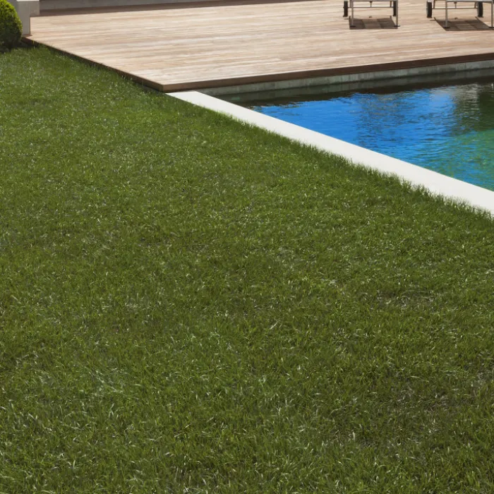 Gazon synthétique 40 mm d'épaisseur 1x10 M pour jardin / balcon