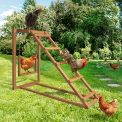 Jeux pour poules avec perchoir et balançoire