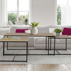 Lot de 3 tables basses de salon gigognes industrielles