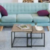 Lot de 2 tables basses gigognes style industriel