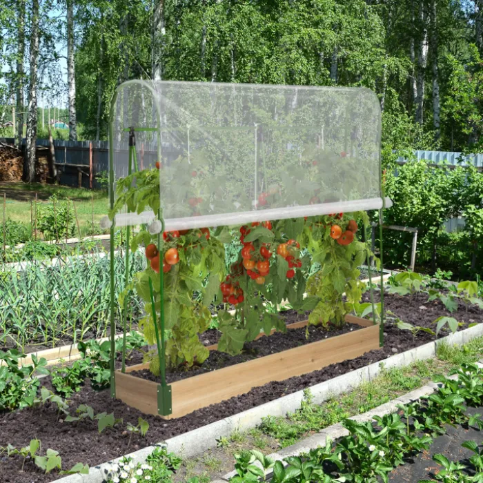 Lot de 2 tunnels à tomates 1,20 m