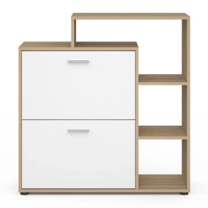 Meuble à chaussures 2 portes avec étagère