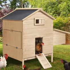 Poulailler 4 à 6 poules en bois avec pondoir