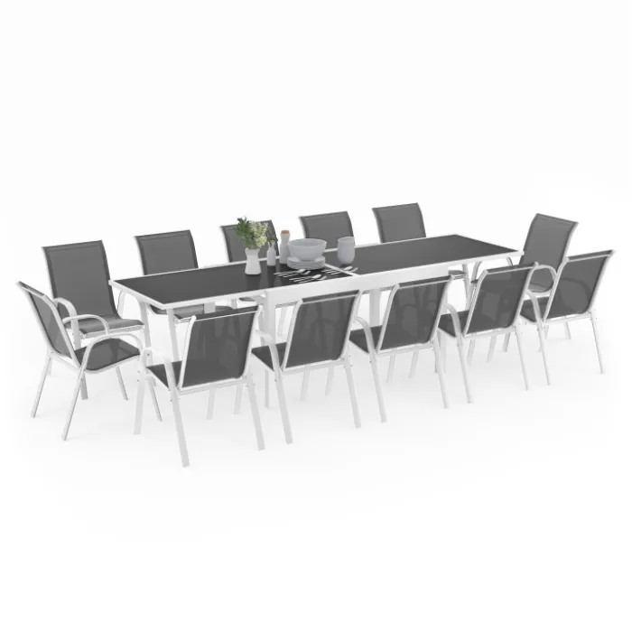 Salon de jardin avec table en verre trempé et 12 chaises