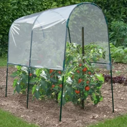 Serre à tomates de 2m de longueur