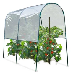 Serre à tomates de 2m de longueur