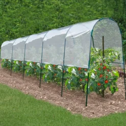 Serre à tomates de 2m de longueur