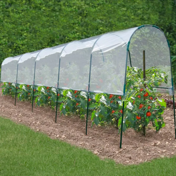 Serre à tomates de 2m de longueur