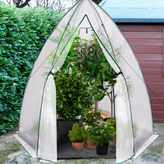 Serre hivernage grand format pour plantes