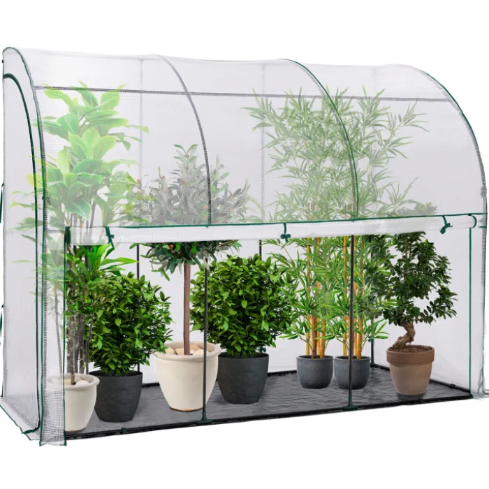 Serre murale pour hivernage des plantes