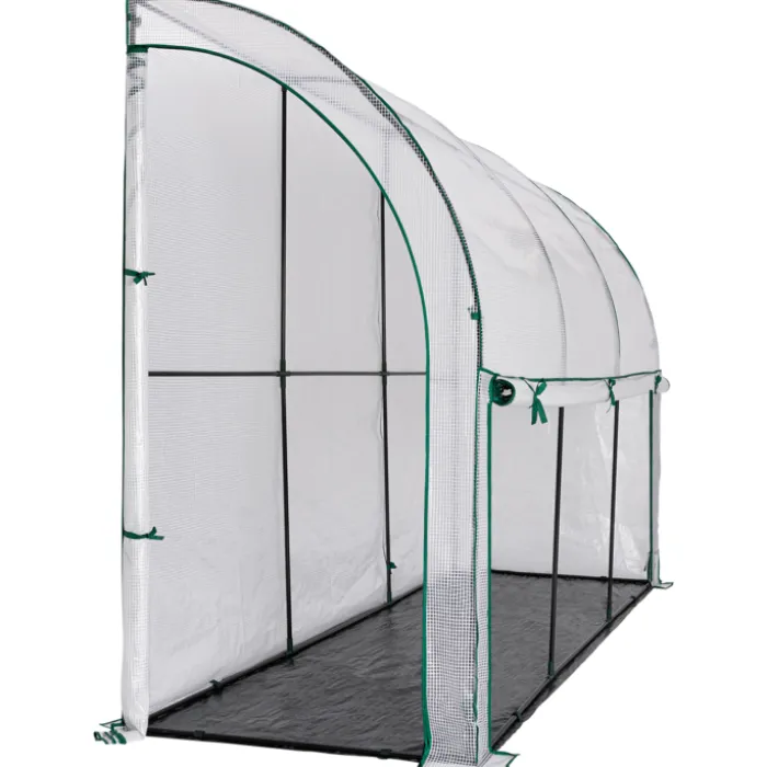 Serre murale pour hivernage des plantes