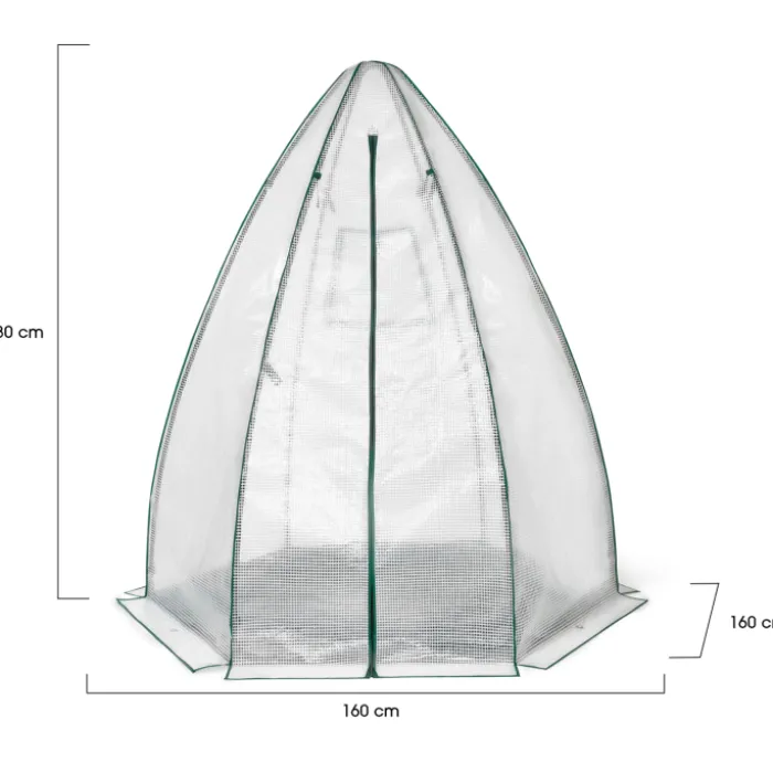 Serre pour hivernage des plantes
