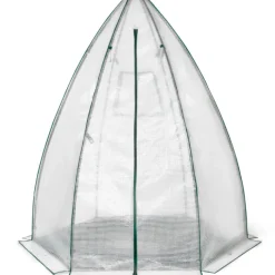 Serre pour hivernage des plantes
