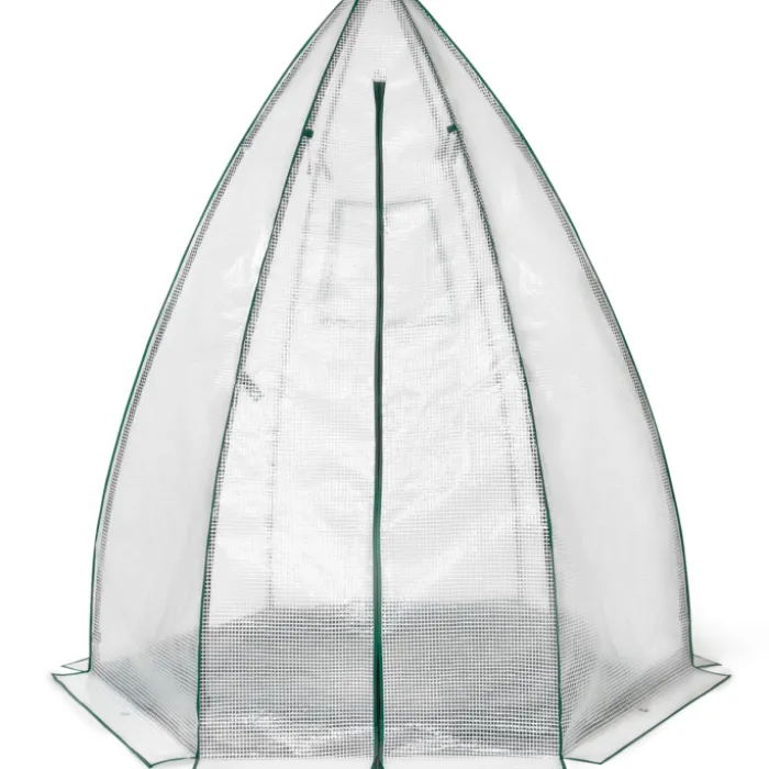Serre pour hivernage des plantes