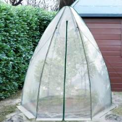 Serre pour hivernage des plantes
