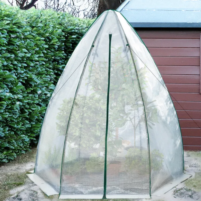 Serre pour hivernage des plantes