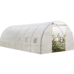 Serre 6x3 m transparente