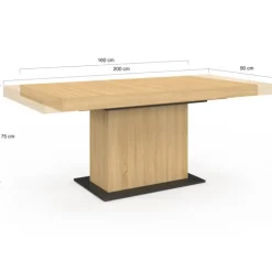 Table à manger extensible rectangle bois et socle noir