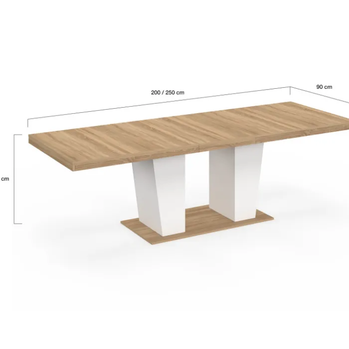 Table à manger extensible rectangle 8-12 personnes bois et blanc 200-250 cm