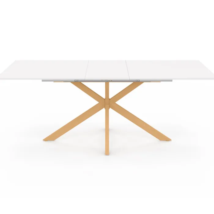 Table à manger extensible rectangle 6-10 personnes bois