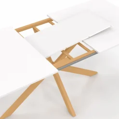 Table à manger extensible rectangle 6-10 personnes bois
