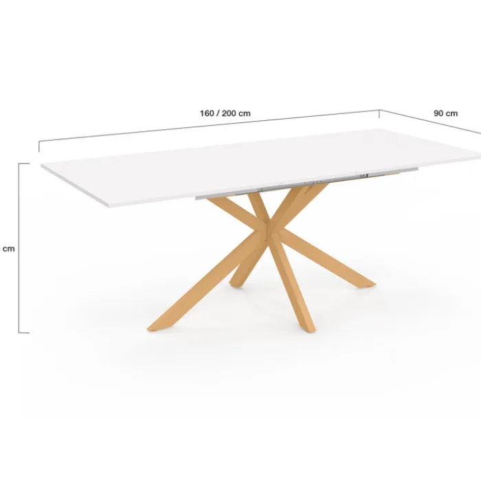 Table à manger extensible rectangle 6-10 personnes bois