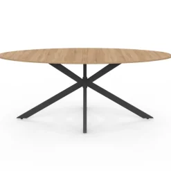 Table à manger ovale 10 personnes noire et bois