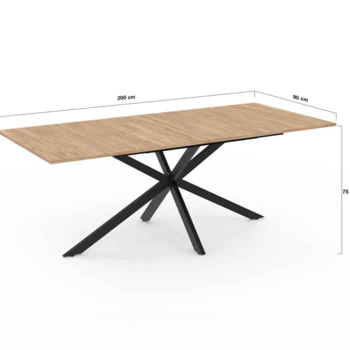 Table à manger rectangle 200cm pied araignée