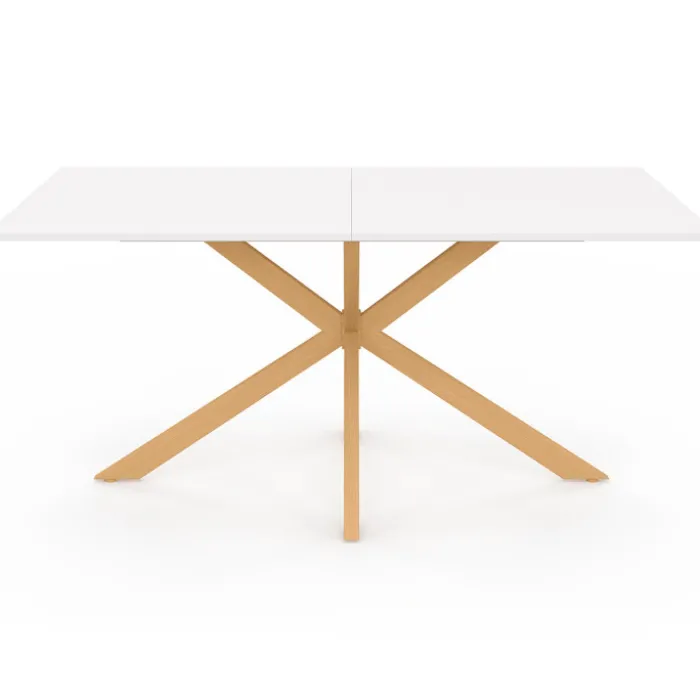 Table à manger rectangulaire 8 personnes pied araignée
