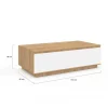Table basse 110 cm avec porte façon hêtre et blanc