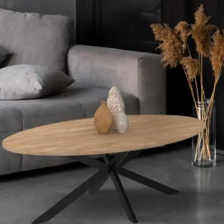 Table basse ovale bois et métal noir avec pied araignée