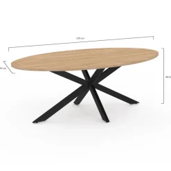 Table basse ovale bois et métal noir avec pied araignée