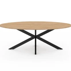 Table basse ovale bois et métal noir avec pied araignée