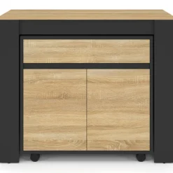 Table buffet extensible 10 personnes 235 cm bois et noir