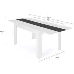 Table de salle à manger extensible blanche et grise 6-10 personnes