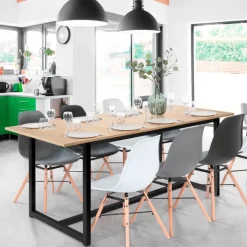 Table extensible industrielle 6-10 personnes 200 cm